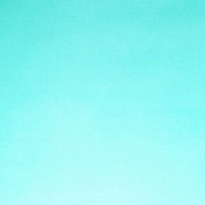 Meet your Posher, Maya